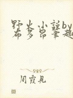 野火小说by夏布多昂笔趣阁
