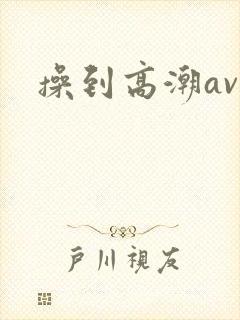 操到高潮av