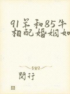 91羊和85牛相配婚姻如何
