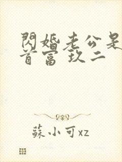 闪婚老公是千亿首富 玖二