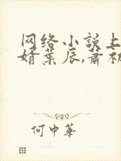 网络小说上门龙婿叶辰,萧初然