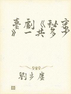 台剧《秘密关系》一共多少集