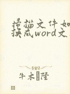 扫描文件如何转换成word文档