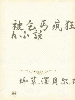 被乞丐疯狂糟蹋h小说