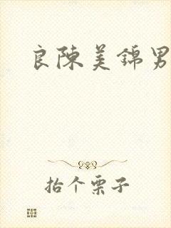 良陈美锦男主