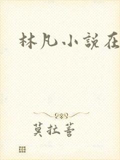 林凡小说在线