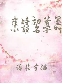 崔时初萧墨染的小说名字叫什么