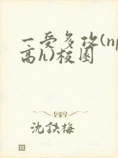 一受多攻(np高h)校园