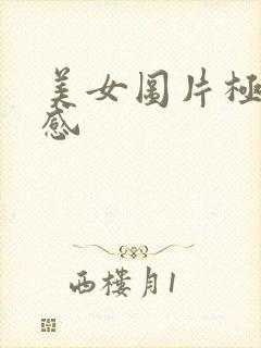 美女图片极度性感