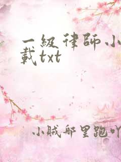 一级律师小说下载txt
