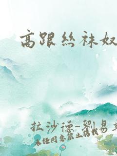 高跟丝袜奴小说