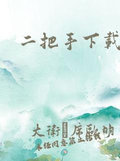 二把手下载