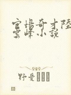 官场奇才陆羽刘云峰小说