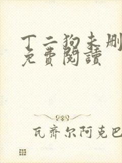 丁二狗未删减版免费阅读