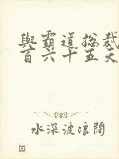 与霸道总裁的三百六十五天