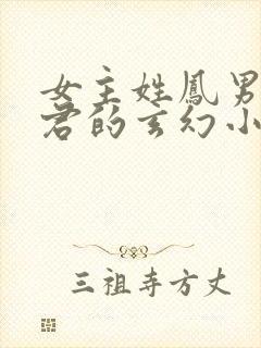 女主姓凤男主姓君的玄幻小说