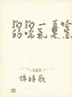 狗狗一直哈哈哈的喘气是怎么回事
