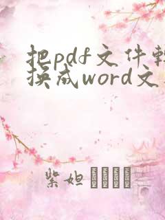 把pdf文件转换成word文档