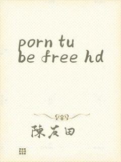 porn tube free hd