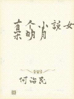 有个小说女主叫宋明月