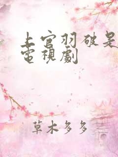 上官羽破是哪部电视剧