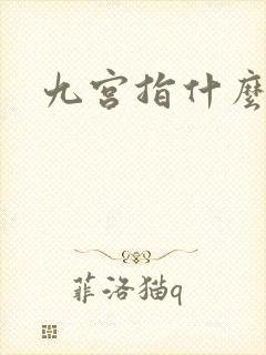 九宫指什么生肖