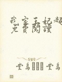 我家王妃超凶的免费阅读