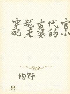 穿越古代官府分配老婆的小说