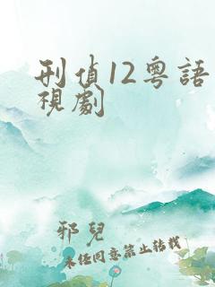 刑侦12粤语电视剧