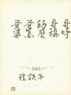 爸爸的哥哥的老婆怎么称呼?