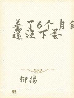 养了6个月的鸡还没下蛋