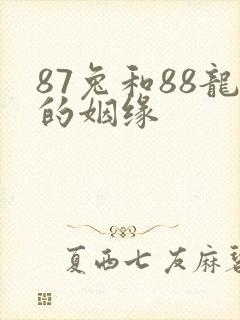 87兔和88龙的姻缘