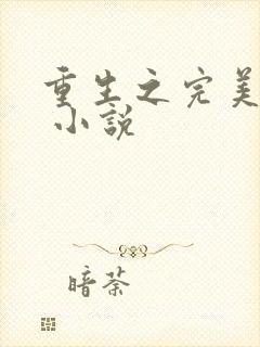 重生之完美巨星 小说