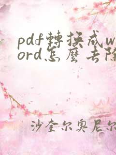 pdf转换成word怎么去除水印