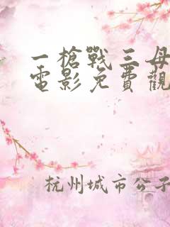 一枪战三母双飞电影免费观看完整版