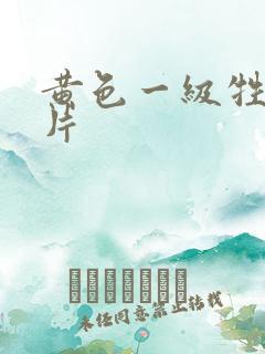 黄色一级牲生活片