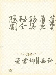 隐秘的角落电视剧全集免费观看
