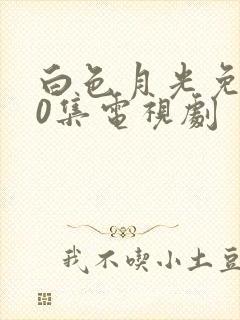 白色月光免费40集电视剧