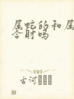 属蛇的和属龙的合财吗