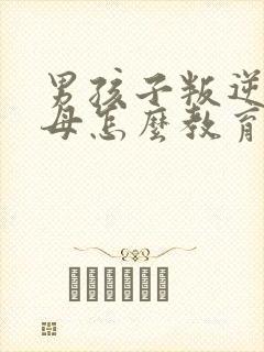 男孩子叛逆期父母怎么教育