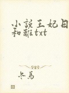 小说王妃日日想和离txt
