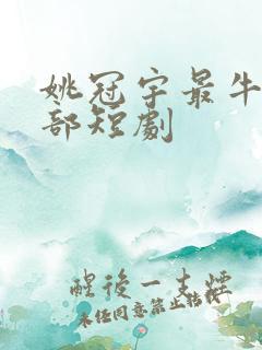 姚冠宇最牛的十部短剧