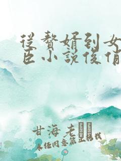 从赘婿到女帝宠臣小说俊俏少年txt下载