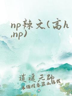 np辣文(高h,np)