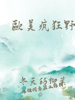 欧美疯狂野外性