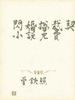 闪婚总裁契约妻小说免费