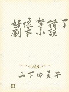 好像拿错了女主剧本小说
