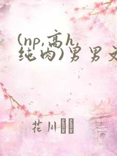(np,高h,纯肉)男男文