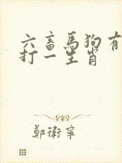 六畜马狗有希望打一生肖