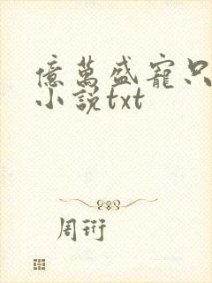 亿万盛宠只为你小说txt